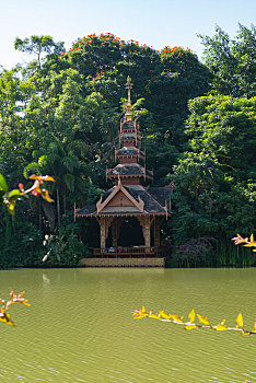 soi cau vip 888 mien phi
